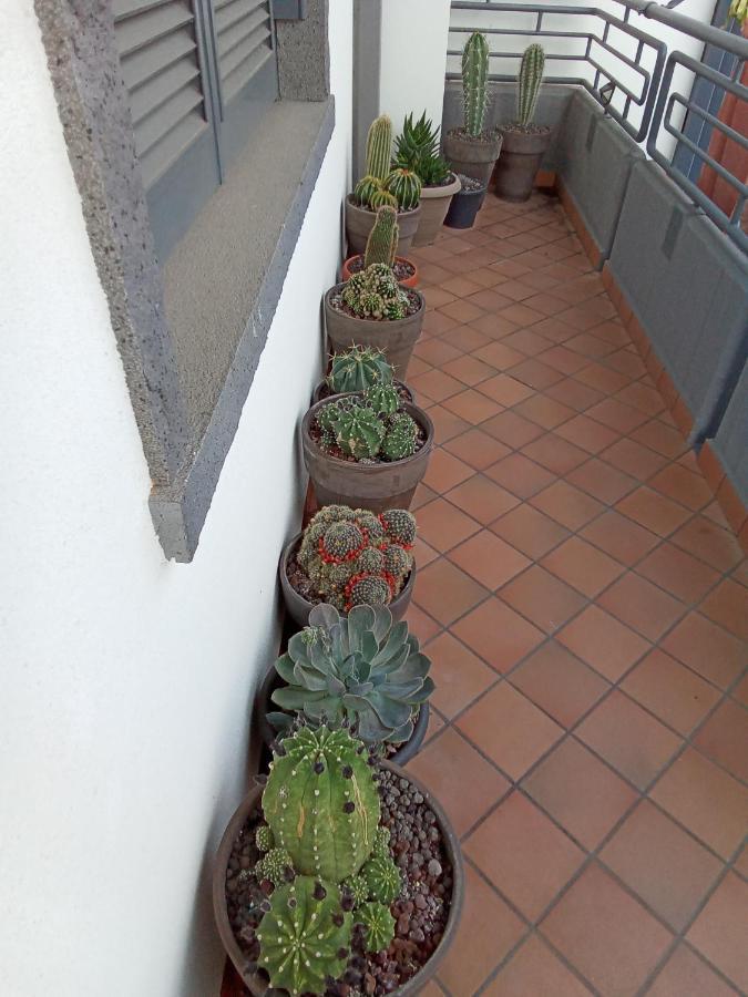 Ferienwohnung Fiori Dell Etna Mascalucia Exterior foto